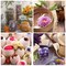 16 Bags Dried Flowers,100% Natural Dried Flowers Herbs Kit for Soap Making, DIY Candle Making,Bath - Include Rose Petals,Lavender,Don't Forget Me,Lilium,Jasmine,Rosebudsand More